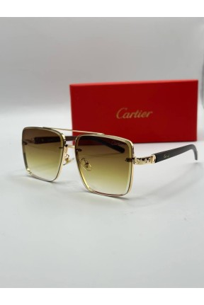 Cartier İthal Erkek Güneş Gözlüğü G3376-VLLZ
