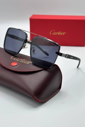 Cartier İthal Erkek Güneş Gözlüğü G3377-VLLZ