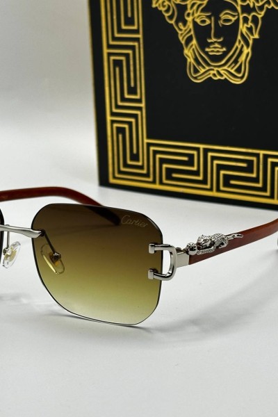 Cartier Unisex Güneş Gözlüğü  G1760-VLL